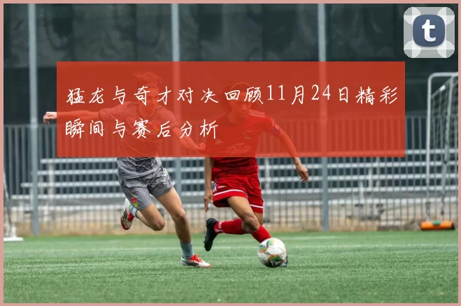 猛龙与奇才对决回顾11月24日精彩瞬间与赛后分析