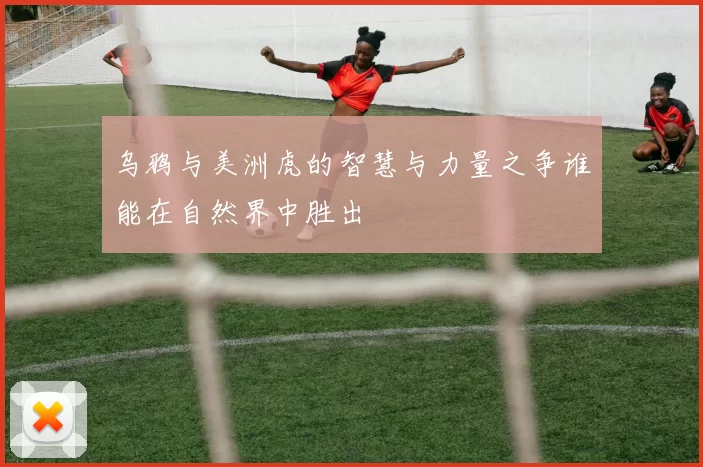 乌鸦与美洲虎的智慧与力量之争谁能在自然界中胜出