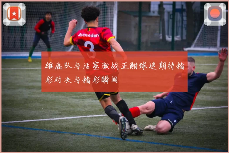 雄鹿队与活塞激战正酣球迷期待精彩对决与精彩瞬间