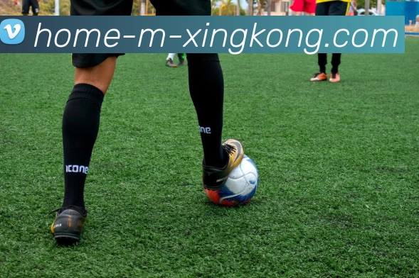 xingkong服务体系